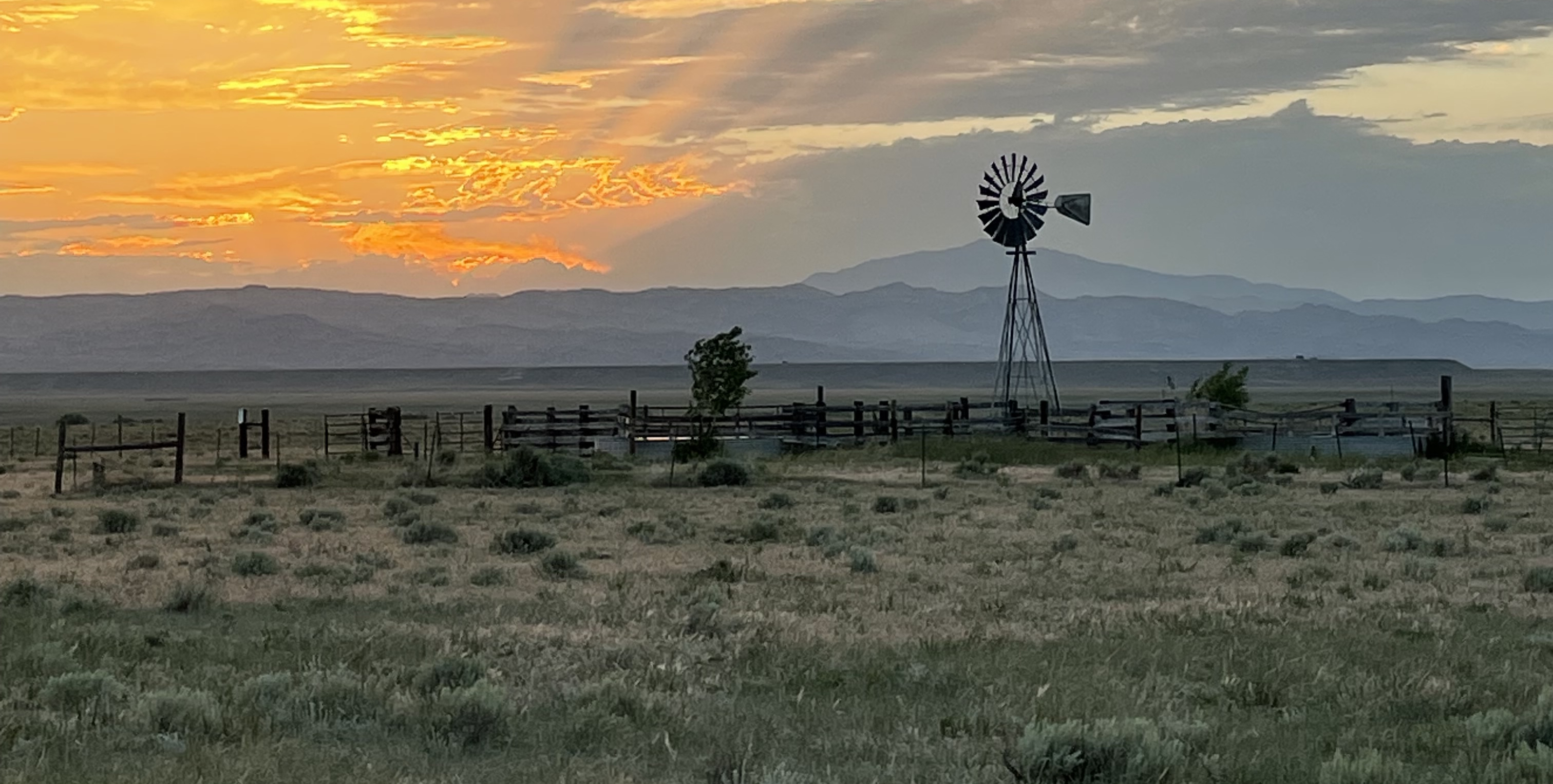 Rural Landscape